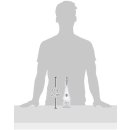 Pravda Vodka 40% Vol. 350ml Geschenkset mit Glas